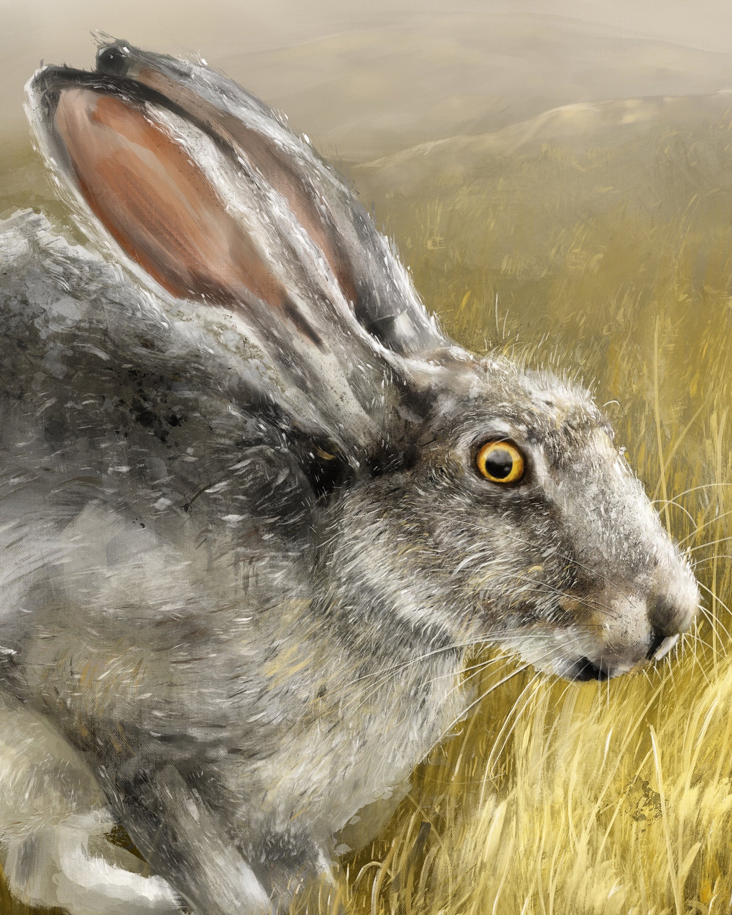 Hare Art Print from Bear & Bristle. Art print, wall art, wildlife art, hare art.