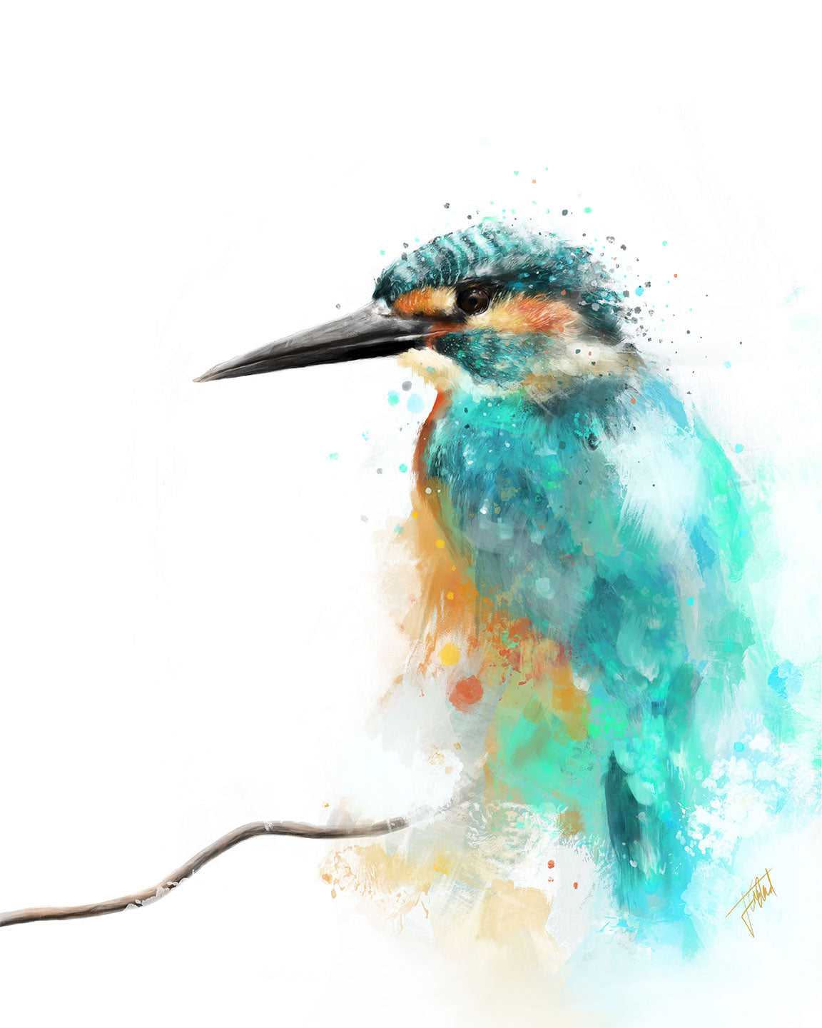 Kingfisher Art Print from Bear & Bristle. Wall art, art print, wildlife art, kingfisher art.