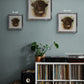 Highland Cow Fine Art Print