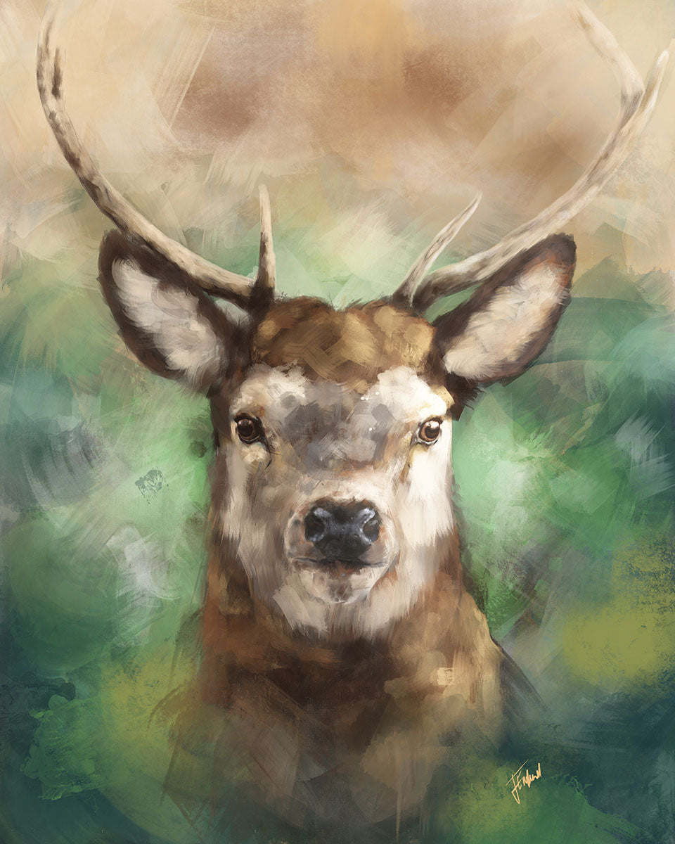 Stag Art Print from Bear & Bristle. Wall art, art print, wildlife art, stag art.