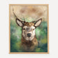 Stag Art Print from Bear & Bristle. Wall art, art print, wildlife art, stag art.